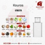 كوروس الابيض سان لوران